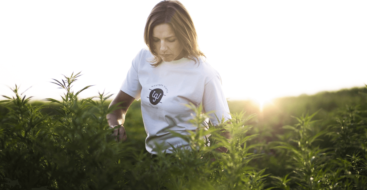 cannabis marketing agency
